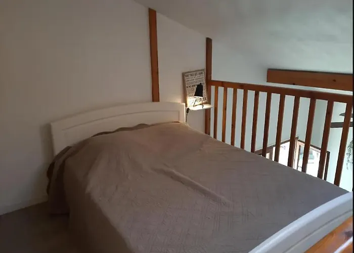 Maison 6 Personnes Avec Jardin Derriere La Dune Feriehus