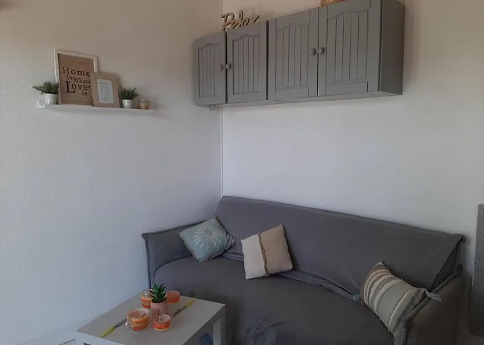 Feriehus Maison 6 Personnes Avec Jardin Derriere La Dune